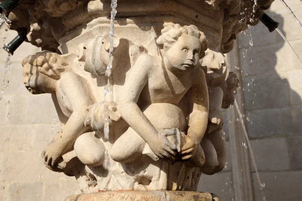 Исторический фонтан в Дубровнике — стоковое фото