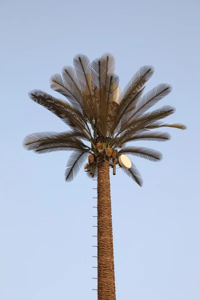 Künstliche Palme mit versteckten Zellantennen — Stockfoto