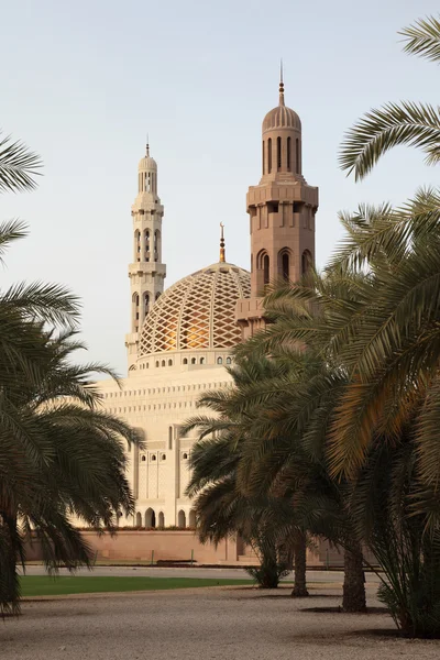 Sultan qaboos grand mosque i muscat, oman — Stockfoto