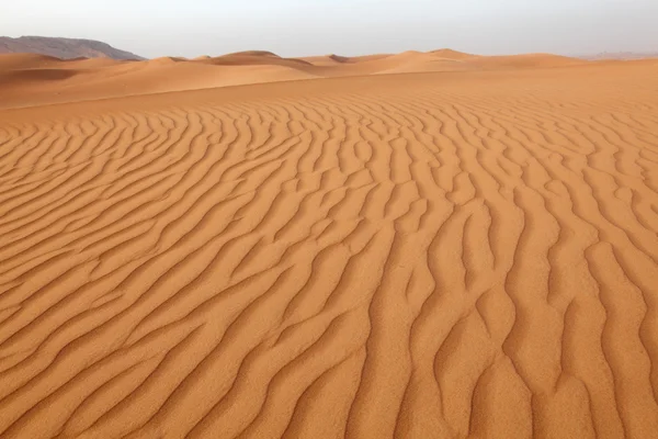 Öknens sanddyner nära dubai — Stockfoto