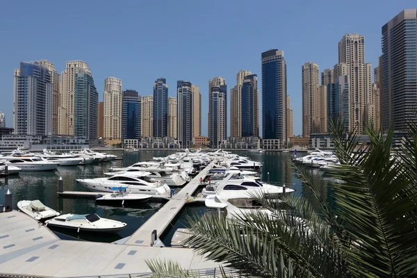 Yacht a Dubai Marina — Foto Stock