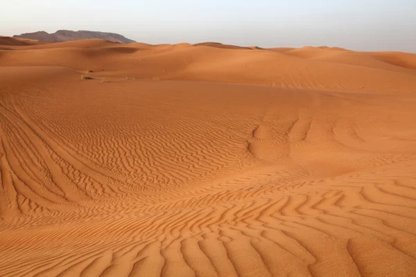 Öknens sanddyner nära dubai — Stockfoto