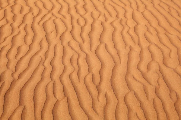 在沙漠里的沙丘上的图案 — 图库照片