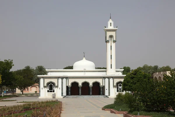 白色清真寺阿布扎比艾 — 图库照片