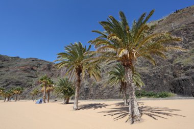 Playa de las Teresitas beach, Tenerife Spain clipart