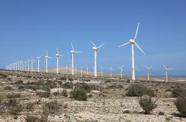 Turbinas eólicas para energía limpia —  Fotos de Stock