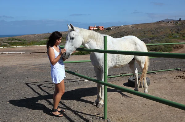 Menina acariciando um cavalo branco — Fotografia de Stock