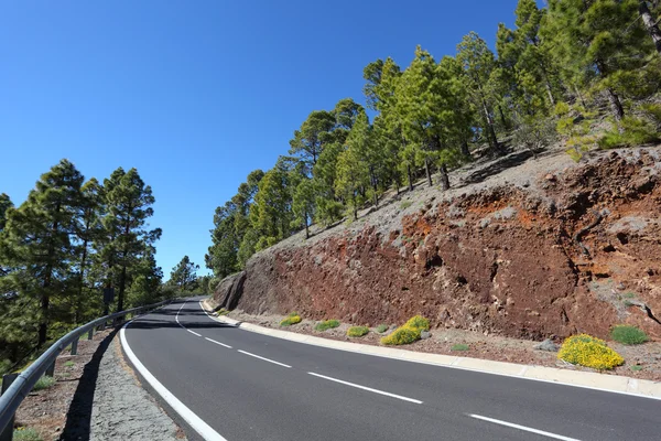 Górska droga w parku narodowym teide, Teneryfa, Hiszpania — Zdjęcie stockowe