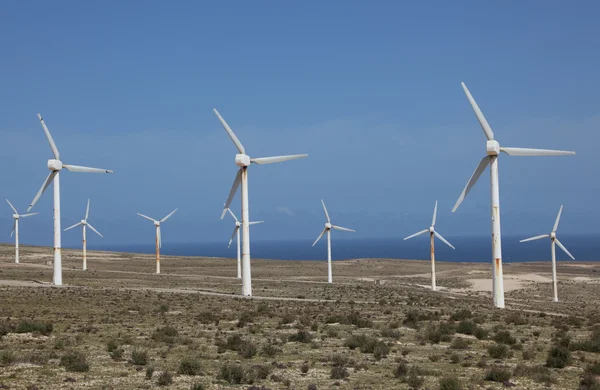 Turbinas eólicas para energía limpia —  Fotos de Stock