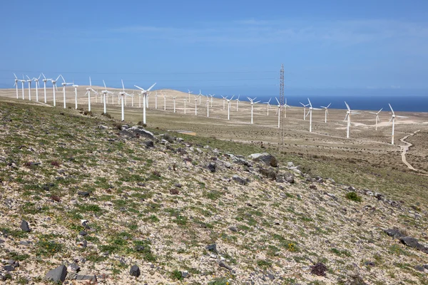 クリーン エネルギーの風力タービン — ストック写真