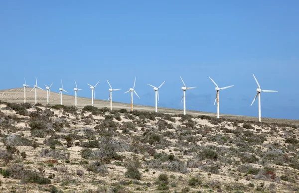Turbiny wiatrowe do czystej energii. Wyspy Kanaryjskie fuerteventura — Zdjęcie stockowe