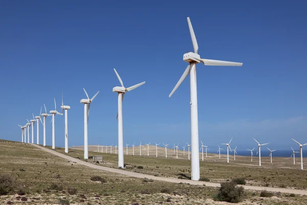 Turbinas eólicas para energia limpa. Ilha das Canárias Fuerteventura — Fotografia de Stock