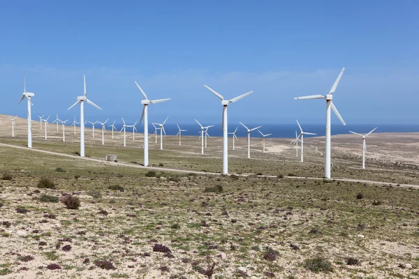 Turbinas eólicas para energia limpa. Ilha das Canárias Fuerteventura — Fotografia de Stock