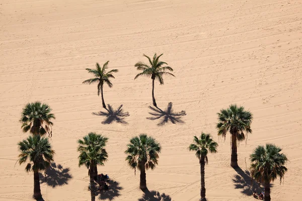 Aerial view over palm trees on the beach. Playa de Las Teresitas, Canary Is — Stock Photo, Image