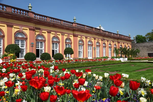Vackra blommor i trädgården av slottet weilburg, Hessen Tyskland — Stockfoto