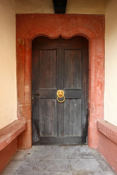Oude deur met Gouden Leeuw doorknock — Stockfoto