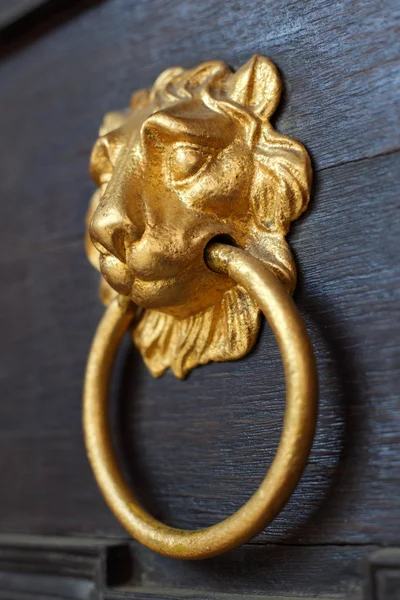 Golpeador de puerta de cabeza de león en una vieja puerta de madera — Foto de Stock