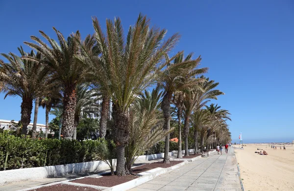 长廊与棕榈树在沙滩上的汉迪亚海滩，加那利岛 fuert — 图库照片