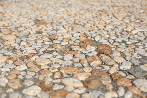 中世ドイツの町で玉石の舗装道路 — ストック写真