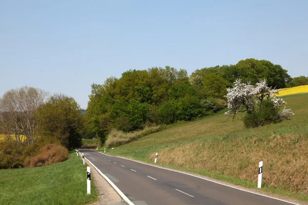 Estrada rural com árvores e prados ao lado — Fotografia de Stock