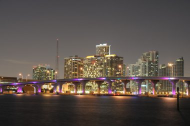 Downtown Miami at night clipart