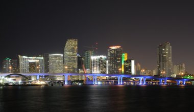 Downtown Miami Skyline at Night clipart