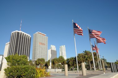 US Flags Downtown Miami clipart