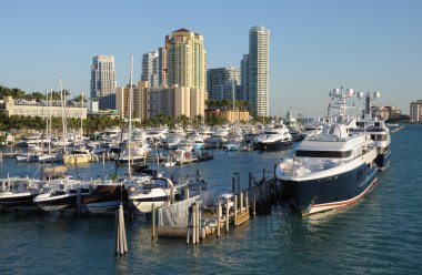 Marina in Miami Beach, Florida USA clipart