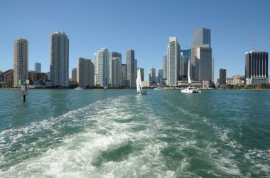 Downtown Miami Skyline clipart