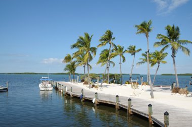 Jetty and Palm Trees on Florida Keys clipart