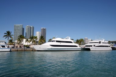 Boats at Downtown Miami, Florida clipart