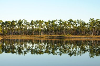 Lake in the Everglades National Park, Florida USA clipart