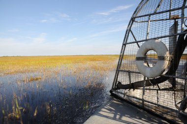 Ride with an airboat in the Everglades, Florida clipart