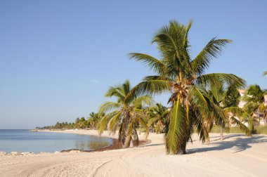 Key West Beach, Florida Keys USA clipart