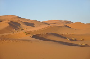 Sand dunes in the Sahara clipart