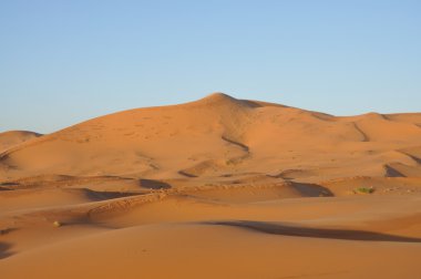 Sand dunes in the Sahara desert clipart