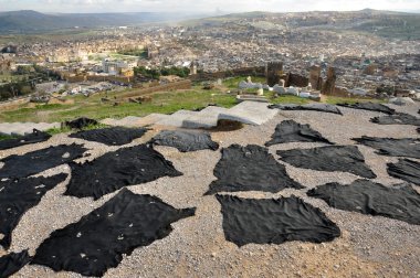 Black dyed animal skins drying in Fes, Morocco clipart