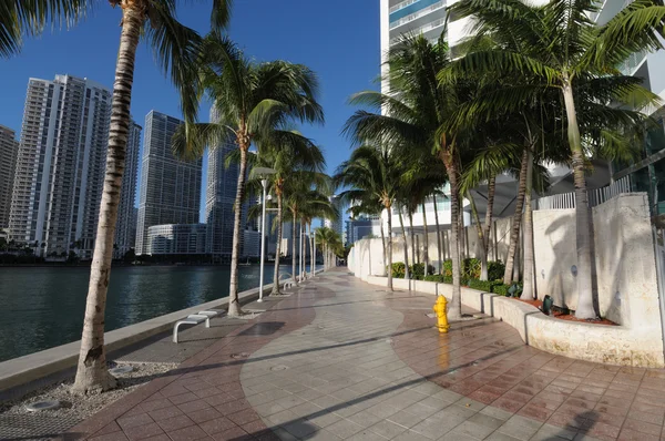 在市中心的海滨大道迈阿密，佛罗里达州美国 — 图库照片