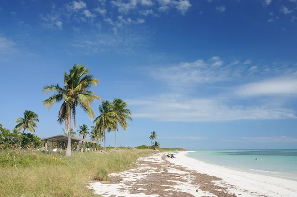 Praia em Bahia Honda, Florida Keys, EUA — Fotografia de Stock