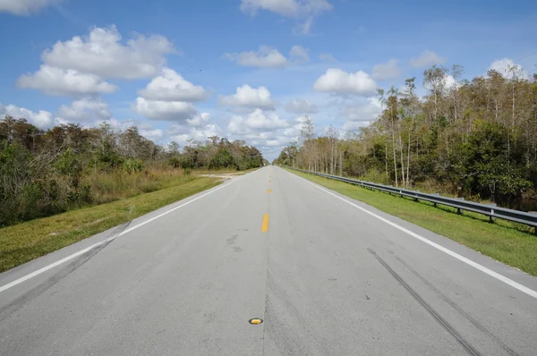 Estrada no Parque Nacional Everglades — Fotografia de Stock