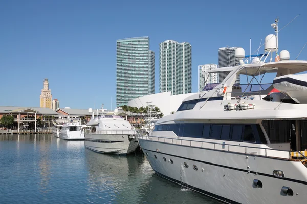 Моторные яхты в Майами-Бэйсайд-Марина — стоковое фото
