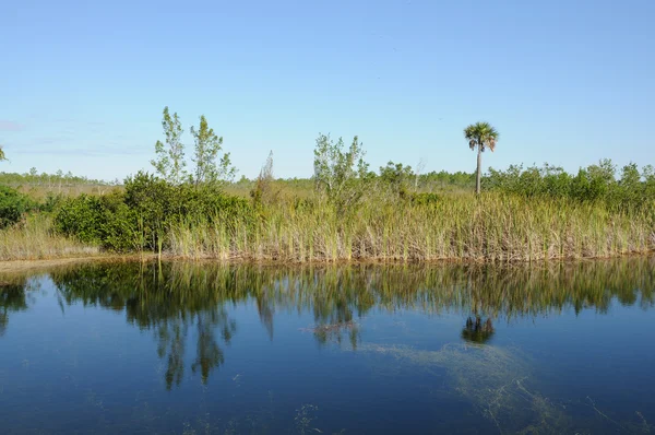Het Everglades Nationaalpark — Stockfoto