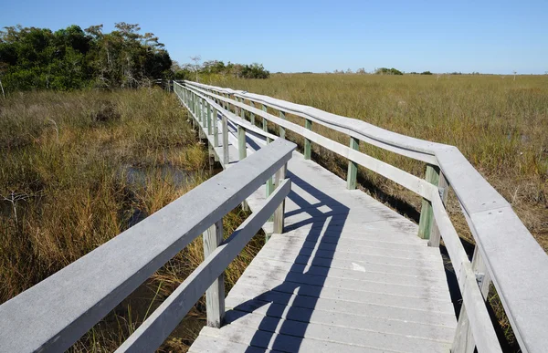 Sentier d'observation dans le parc national des Everglades, Floride États-Unis — Photo