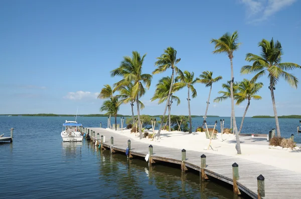 Molo e palme su Florida Keys — Foto Stock