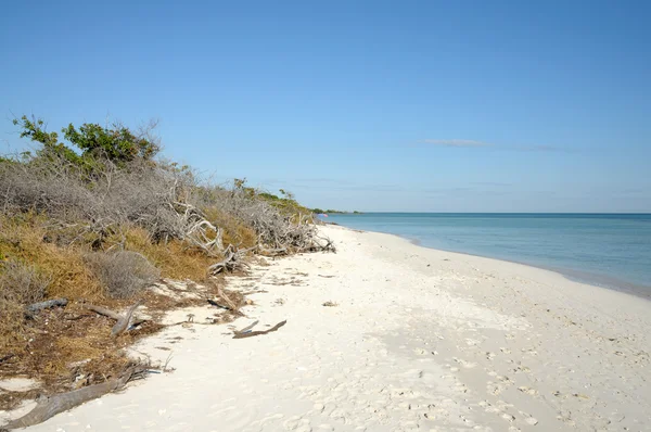 Spiaggia di Bahia Honda Key, Florida Stati Uniti — Foto Stock