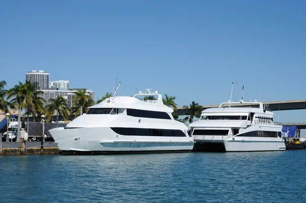 Лодки в центре Майами — стоковое фото