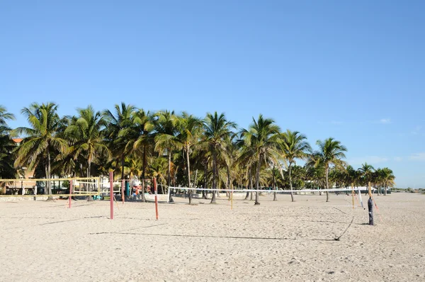 Miami beach — Stock Photo, Image