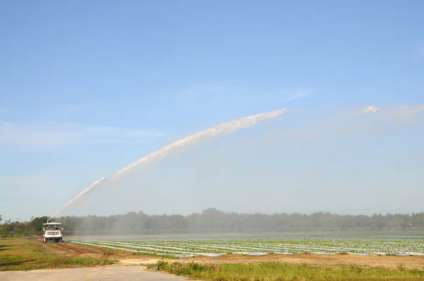 Tiro agrícola - Irrigación de un campo, Florida, EE.UU. — Foto de Stock