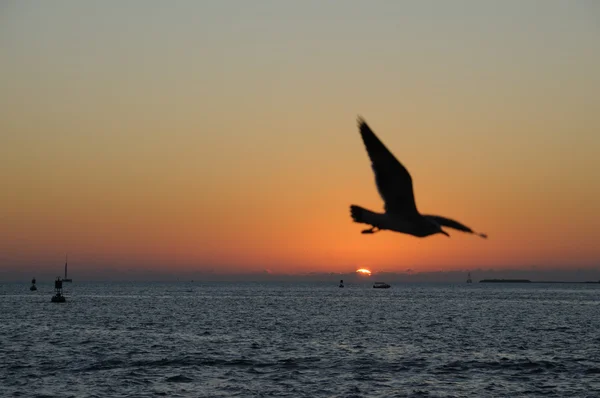Pôr do sol em Key West, Flórida EUA — Fotografia de Stock