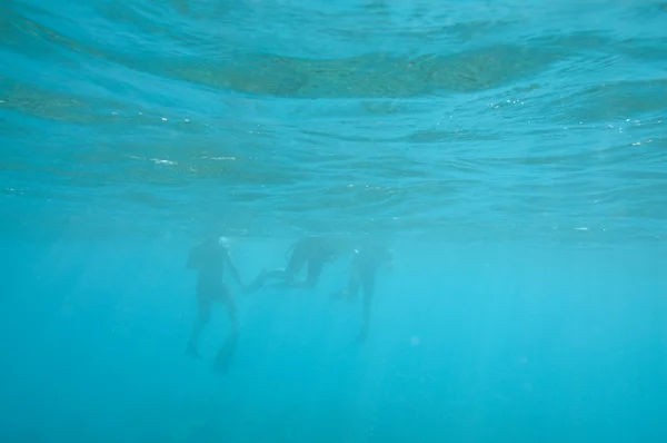 Підводне зображення трьох снорклерів — стокове фото